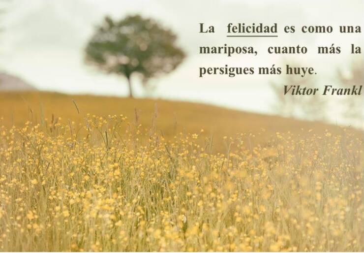 ¡Yo sólo quiero ser feliz! La felicidad como meta