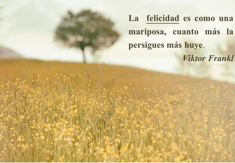 ¡Yo sólo quiero ser feliz! La felicidad como meta