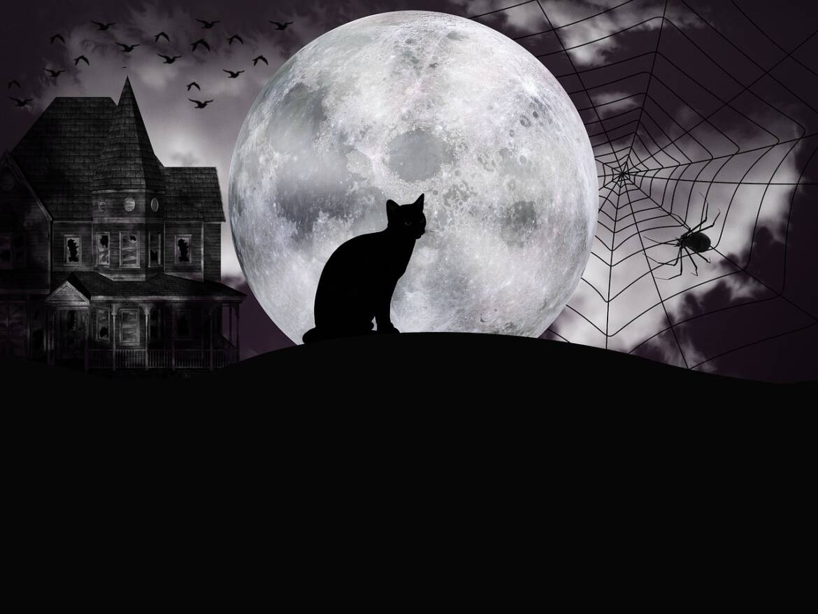 halloween-3696571_1280.jpg